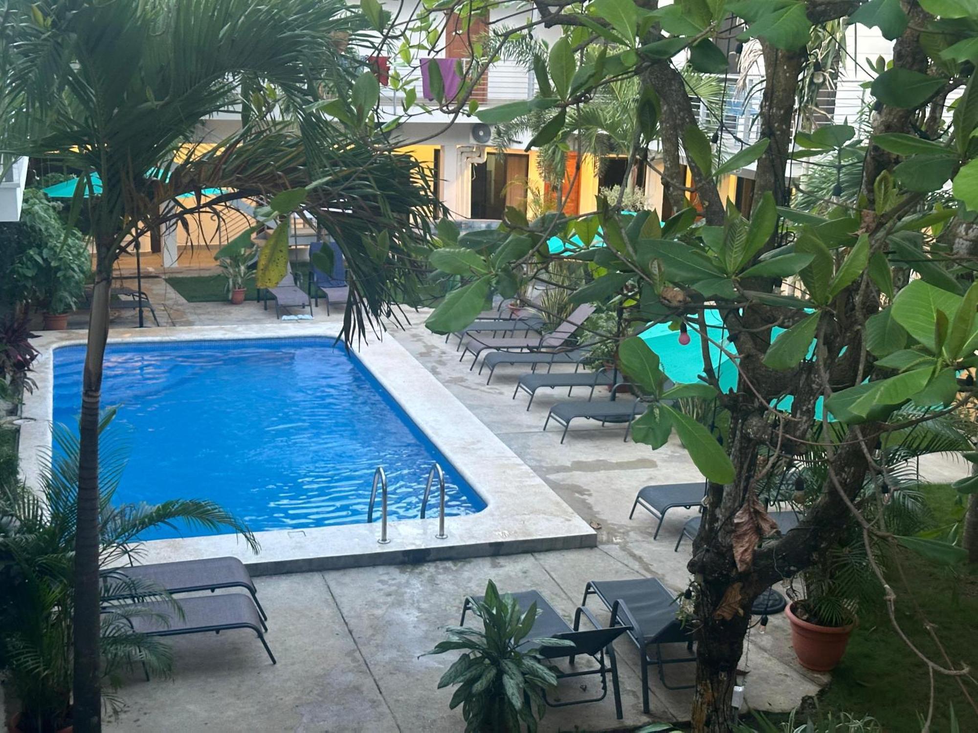 Private Fully Furnished Home At Wide Mouth Frog Hostel 奎波斯城 外观 照片